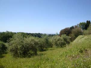 Vendita Case, Guardistallo