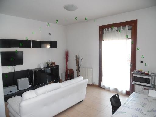 Affitto IN PICCOLO CONDOMINIO, Firenze Affitto IN PICCOLO CONDOMINIO, Firenze foto