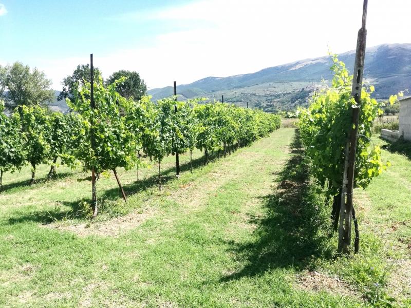 Vendita Terreno, Foligno foto