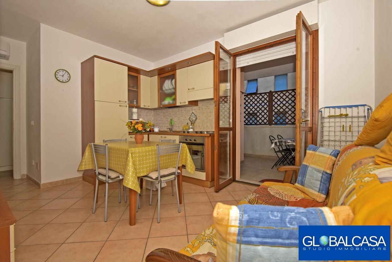 Affitto Appartamento, Grosseto foto