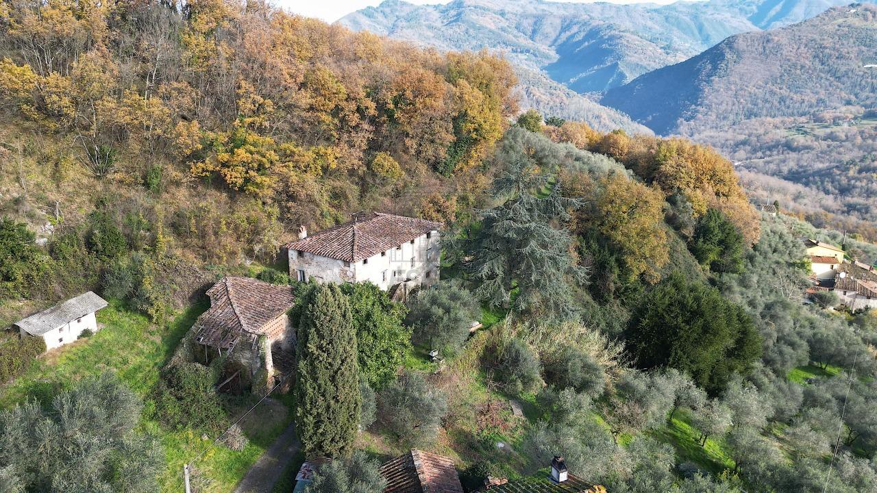 Vendita Multivani, Lucca foto