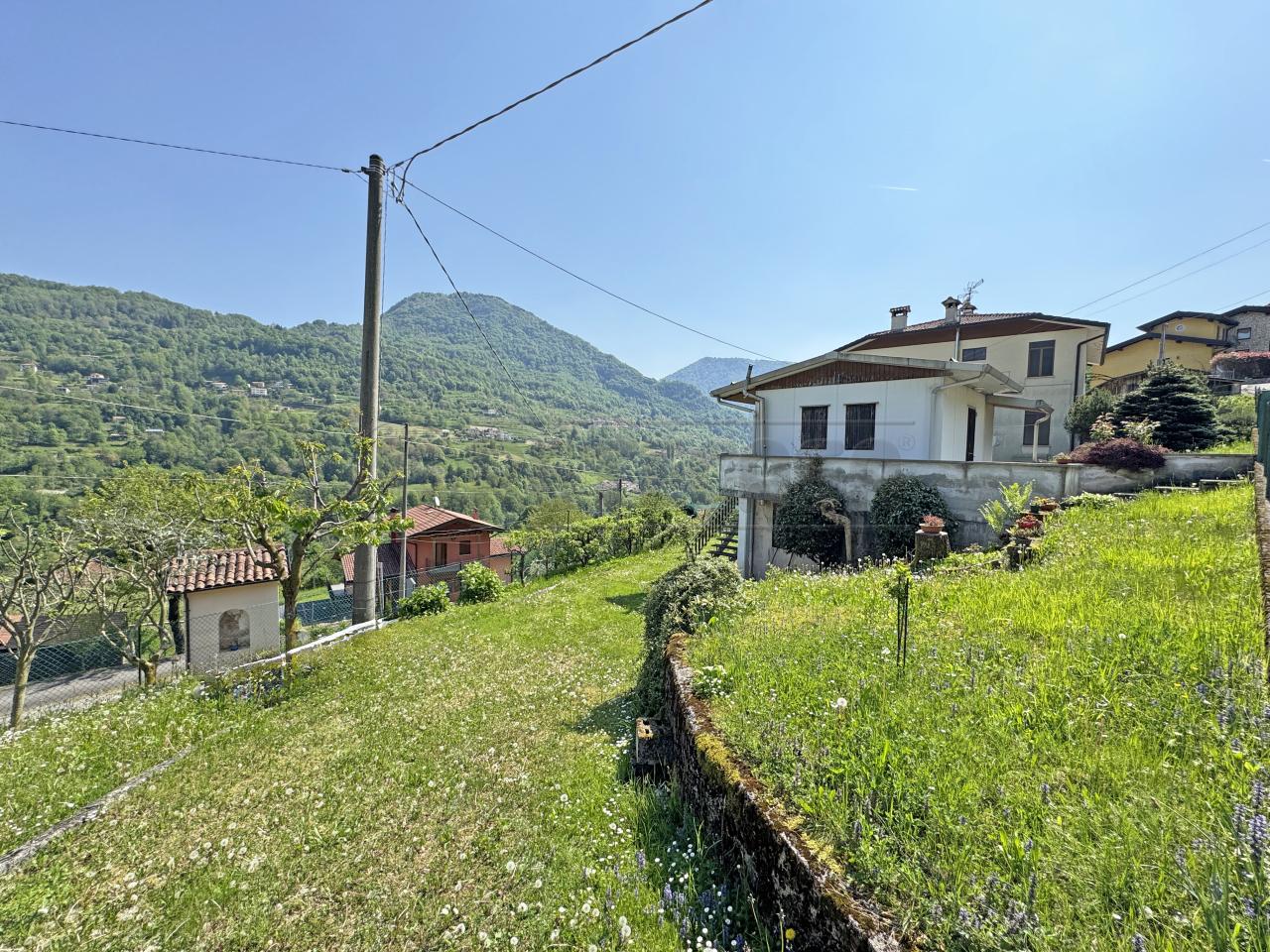 Vendita Quadrivani, Recoaro Terme Vendita Quadrivani, Recoaro Terme foto