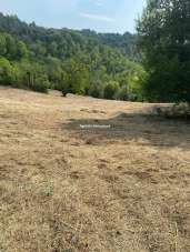 Vendita Terreno Agricolo, Urbino Vendita Terreno Agricolo, Urbino