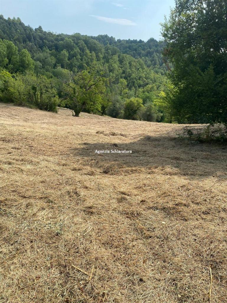 Vendita Terreno Agricolo, Urbino Vendita Terreno Agricolo, Urbino foto