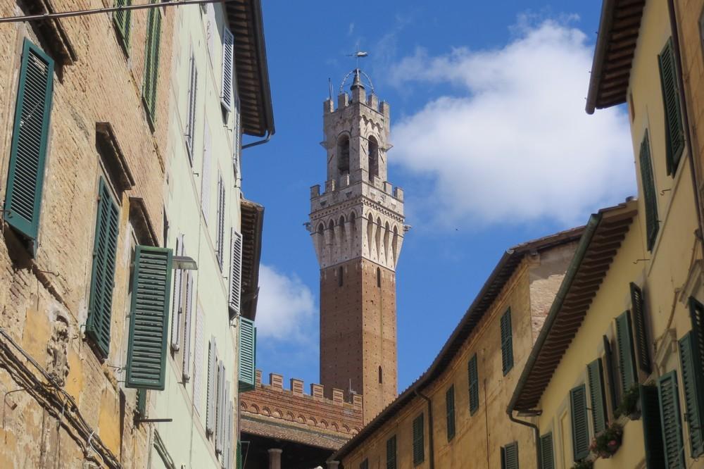 Vendita Quadrivani, Siena foto