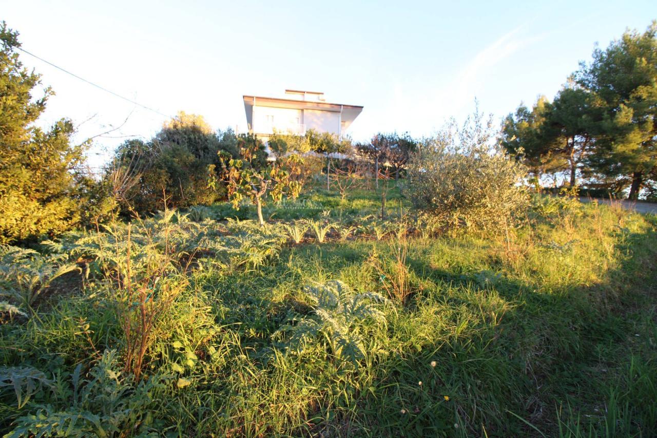 Vendita Terreno, Massignano foto