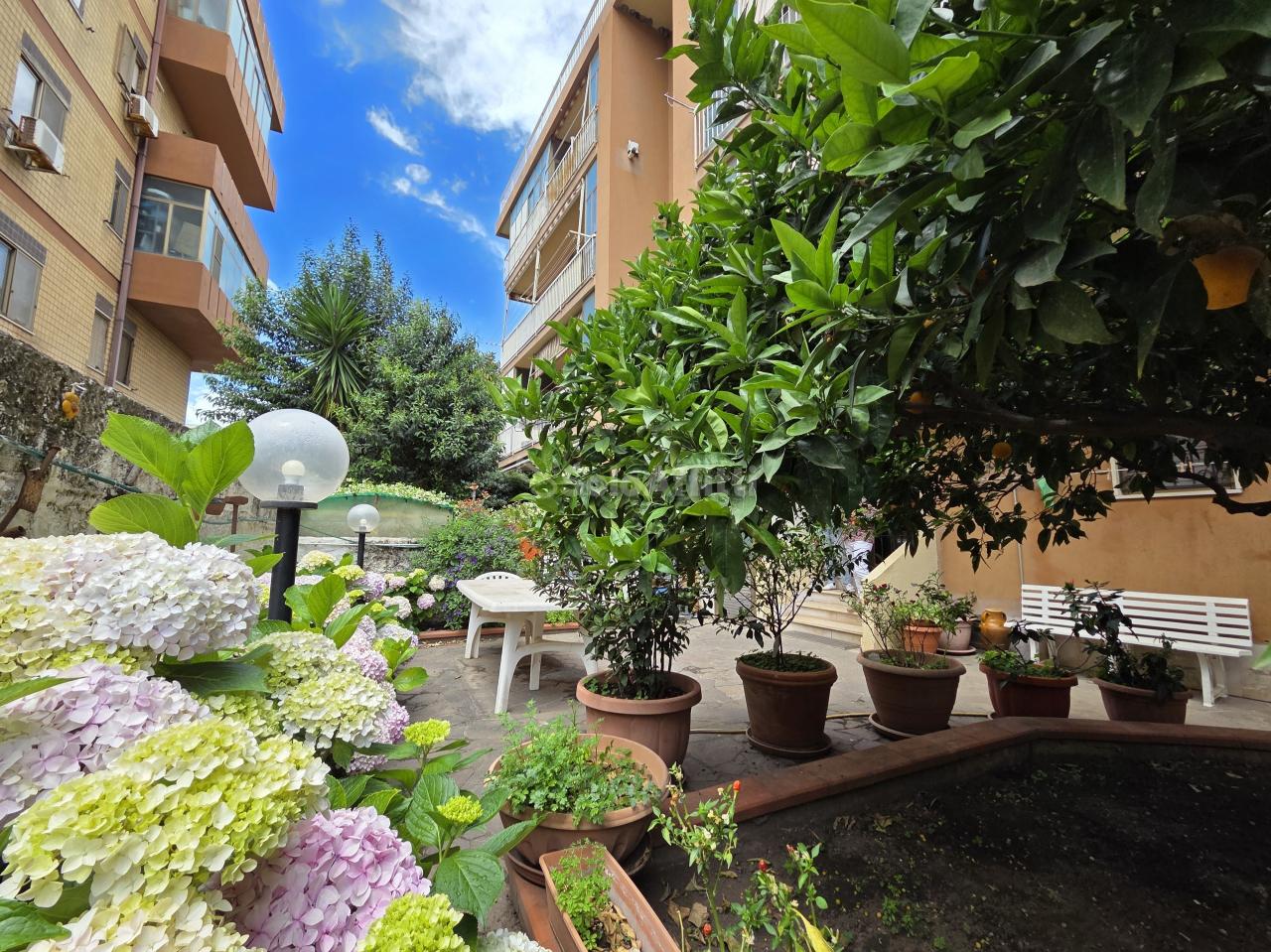 Affitto Appartamento, Catanzaro Affitto Appartamento, Catanzaro foto