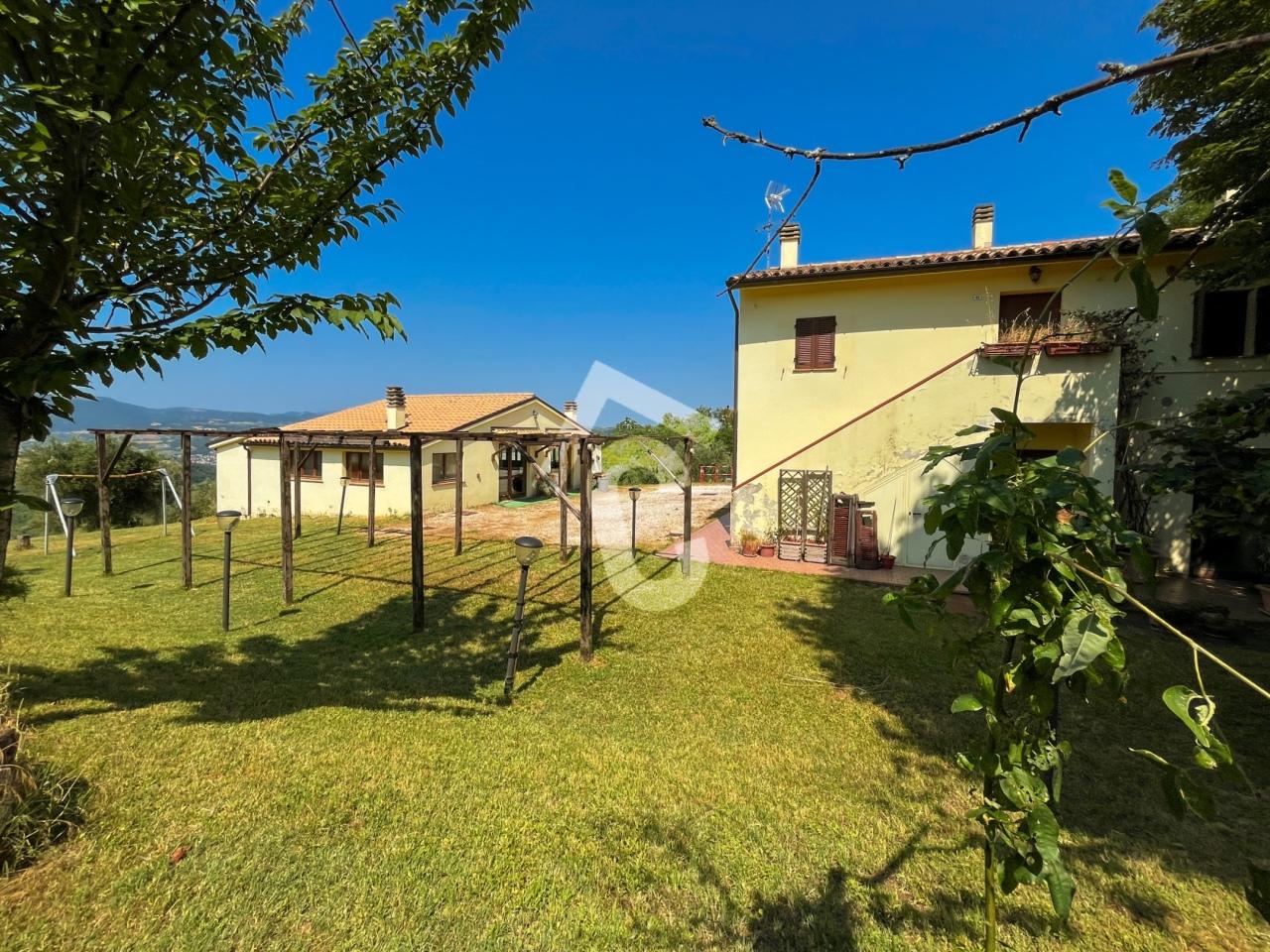 Vendita Multivani, Maiolati Spontini foto