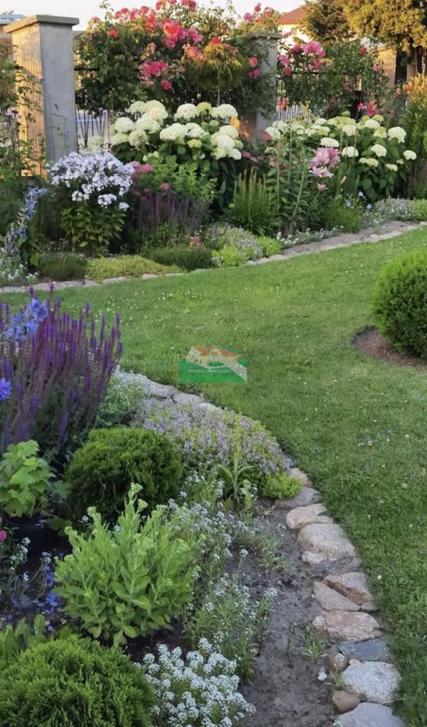 Vendita Multivani, Ravenna Vendita Multivani, Ravenna foto