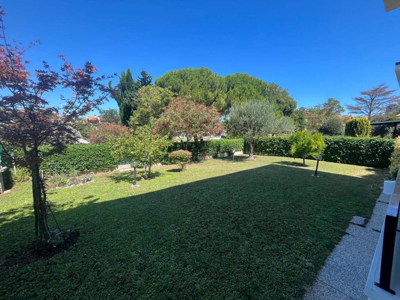 Vendita Pentavani, Senigallia foto