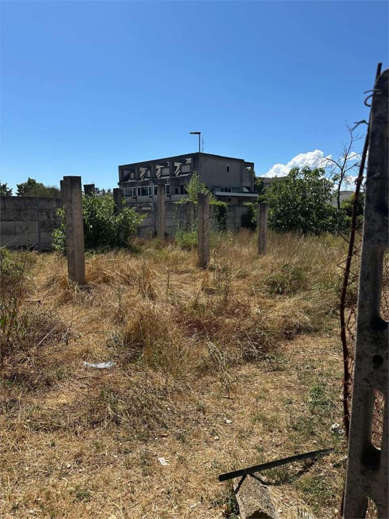 Vendita vendita, Frosinone foto