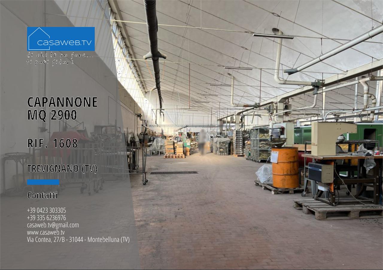 Affitto affitto, Trevignano Affitto affitto, Trevignano foto