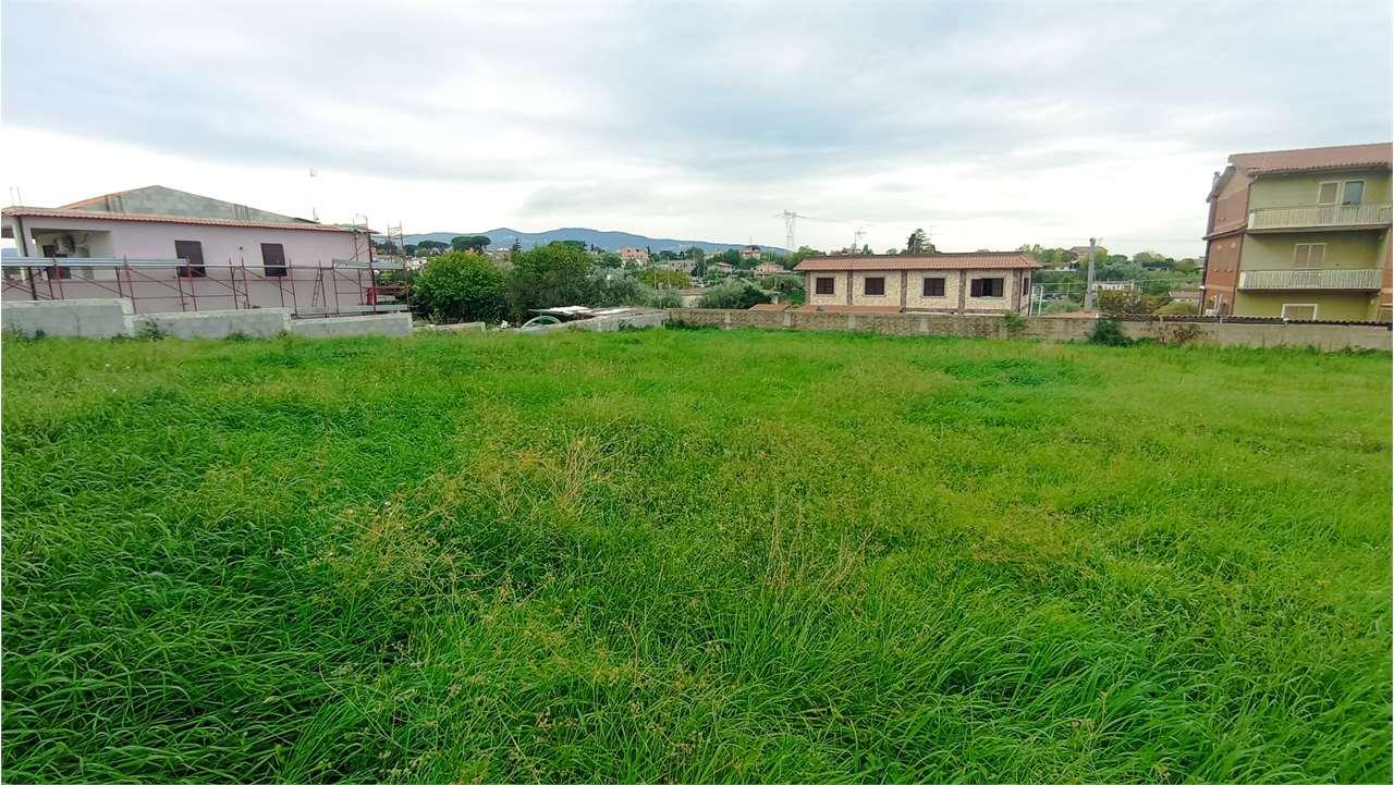 Vendita vendita, Zagarolo foto