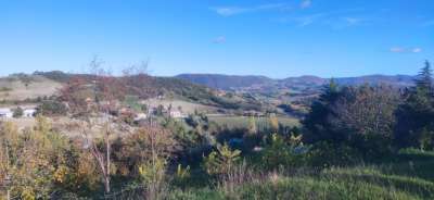 Vendita Esavani, Apiro