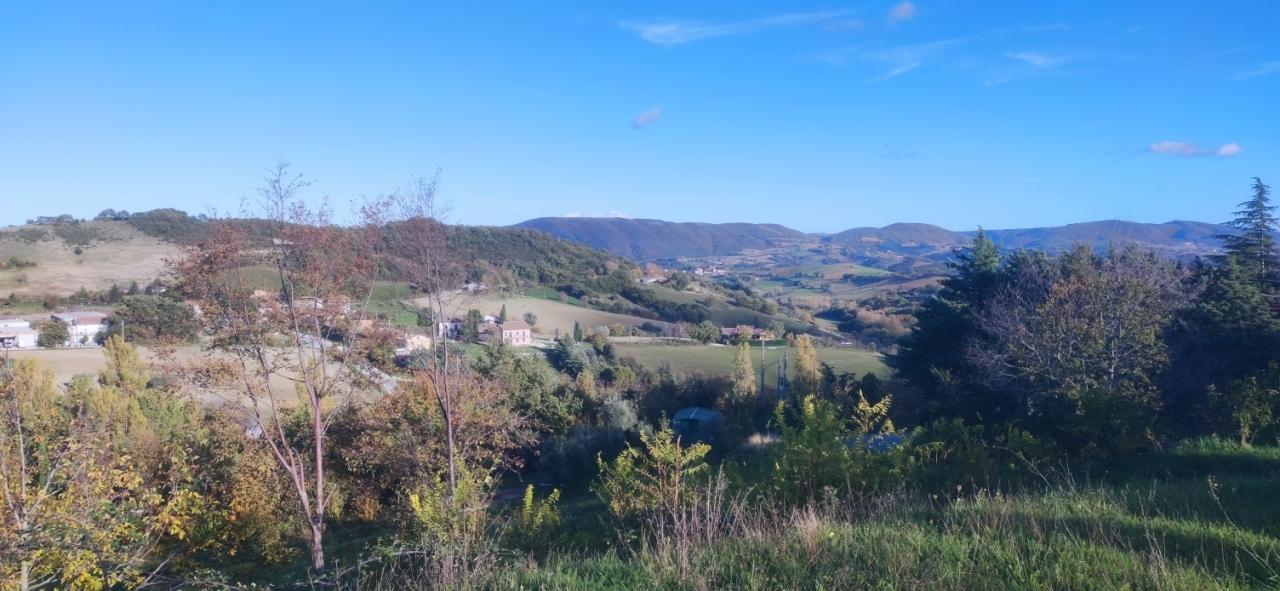 Vendita Esavani, Apiro foto
