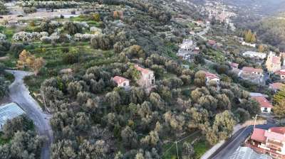 Vendita Monovano, Bordighera Vendita Monovano, Bordighera