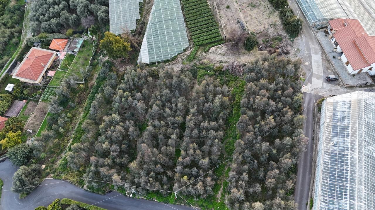 Vendita Monovano, Bordighera foto
