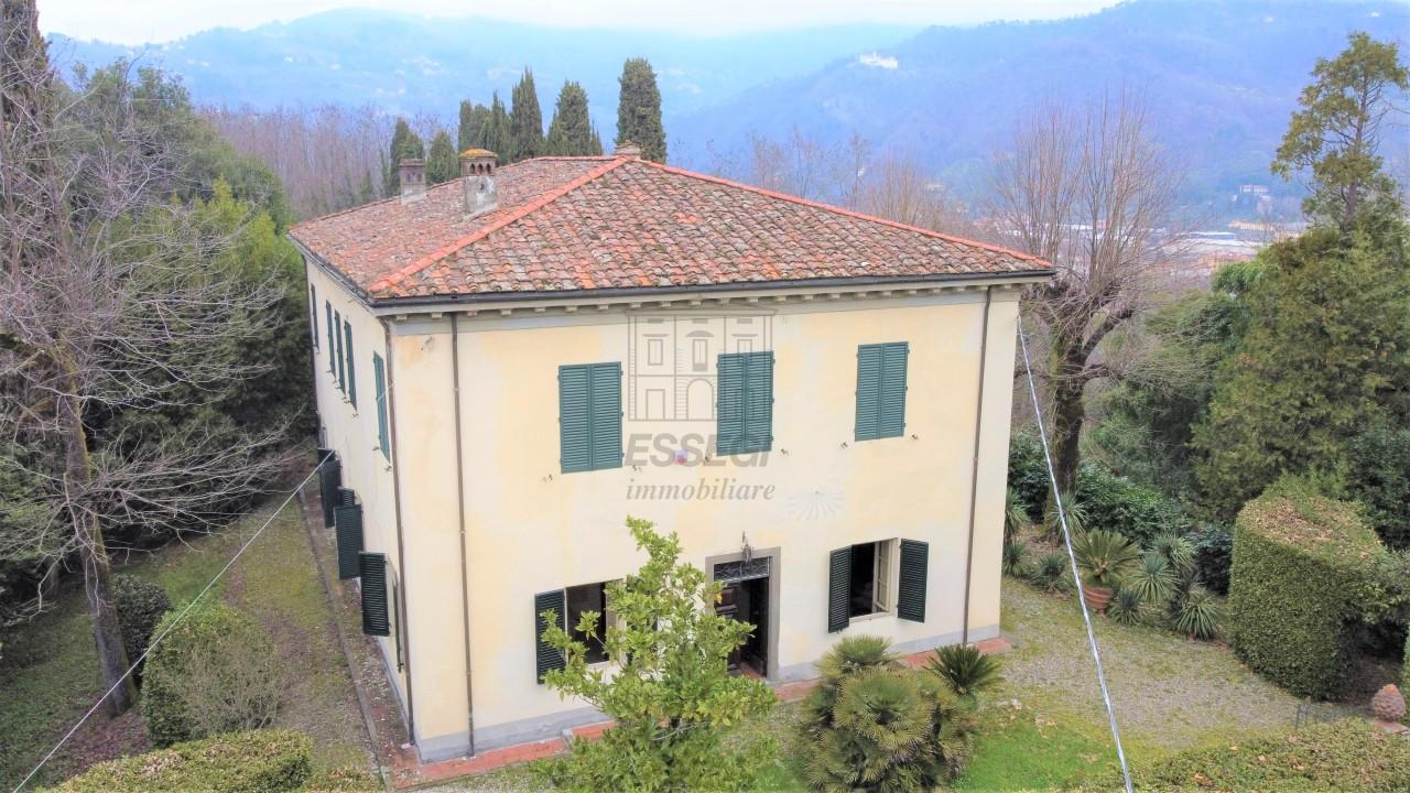 Vendita Multivani, Lucca foto