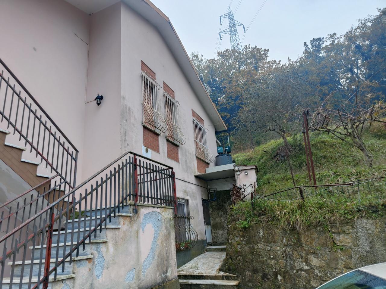 Vendita Multivani, Sarzana foto