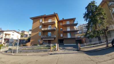 Vendita Trivani, Zocca Vendita Trivani, Zocca