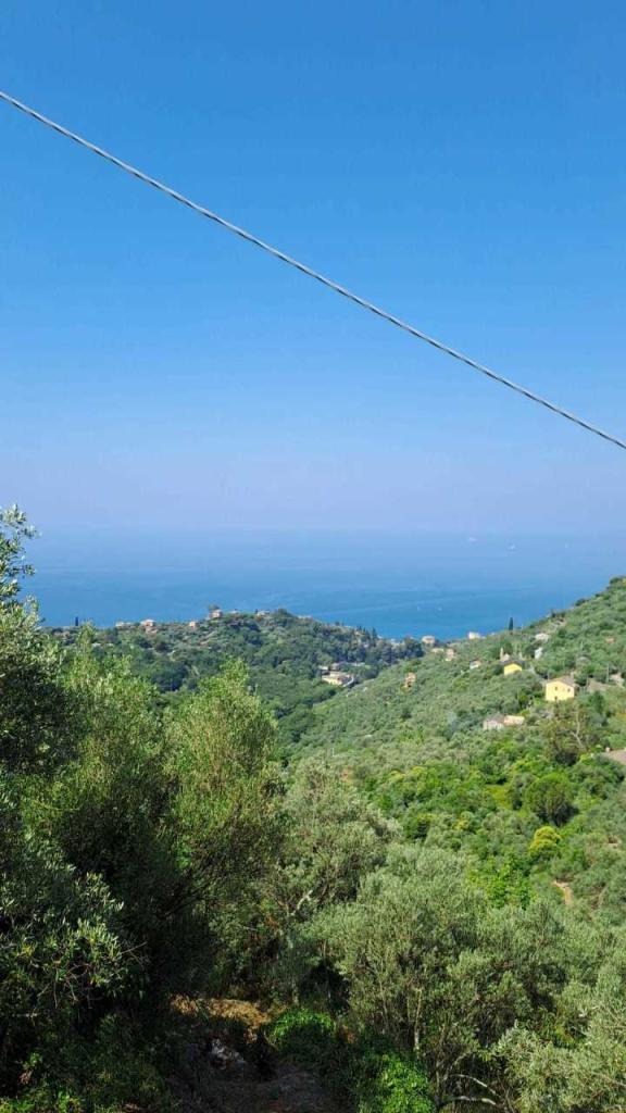 Vendita Monovano, Recco Vendita Monovano, Recco foto