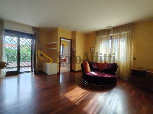 Affitto Trivani, Gallarate Affitto Trivani, Gallarate