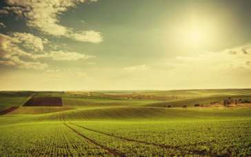 Vendita Terreni, Noventa Vicentina Vendita Terreni, Noventa Vicentina