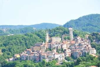 Vendita Artigianale, Arcola