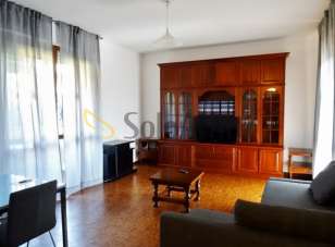 Affitto Bivani, Gallarate Affitto Bivani, Gallarate