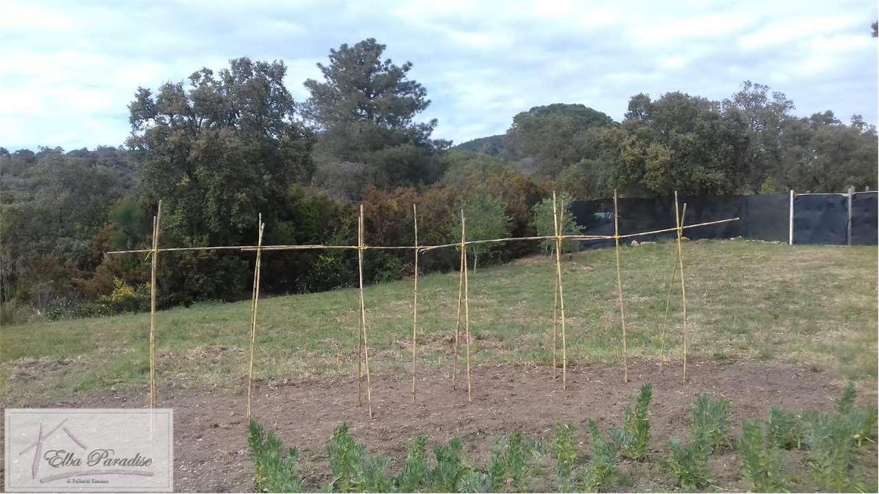 Vendita vendita, Porto Azzurro Vendita vendita, Porto Azzurro foto