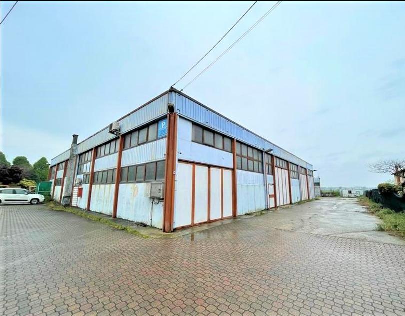 Vendita vendita, Nogarole Rocca foto