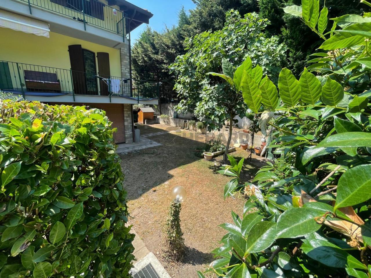 Vendita Trivani, Calco Vendita Trivani, Calco foto