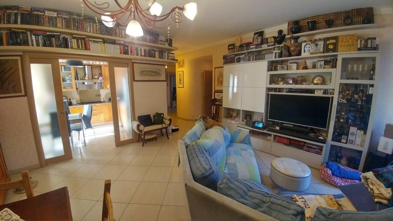 Vendita Pentavani, Zocca foto