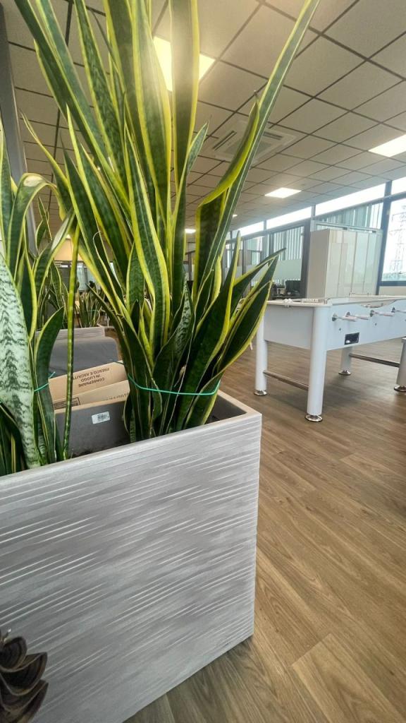 Affitto Esavani, Rimini Affitto Esavani, Rimini foto