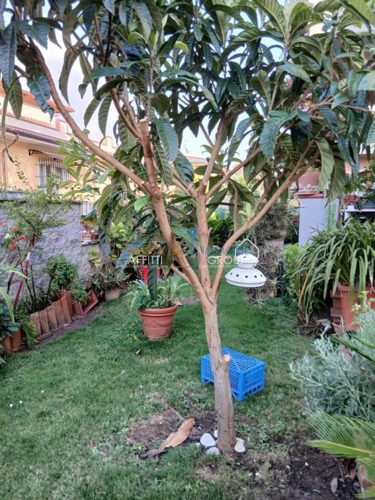 Vendita Pentavani, Massa Vendita Pentavani, Massa foto