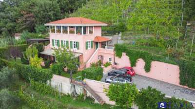 Vendita Multivani, Carrara