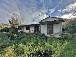 Vendita Multivani, Gavorrano Vendita Multivani, Gavorrano