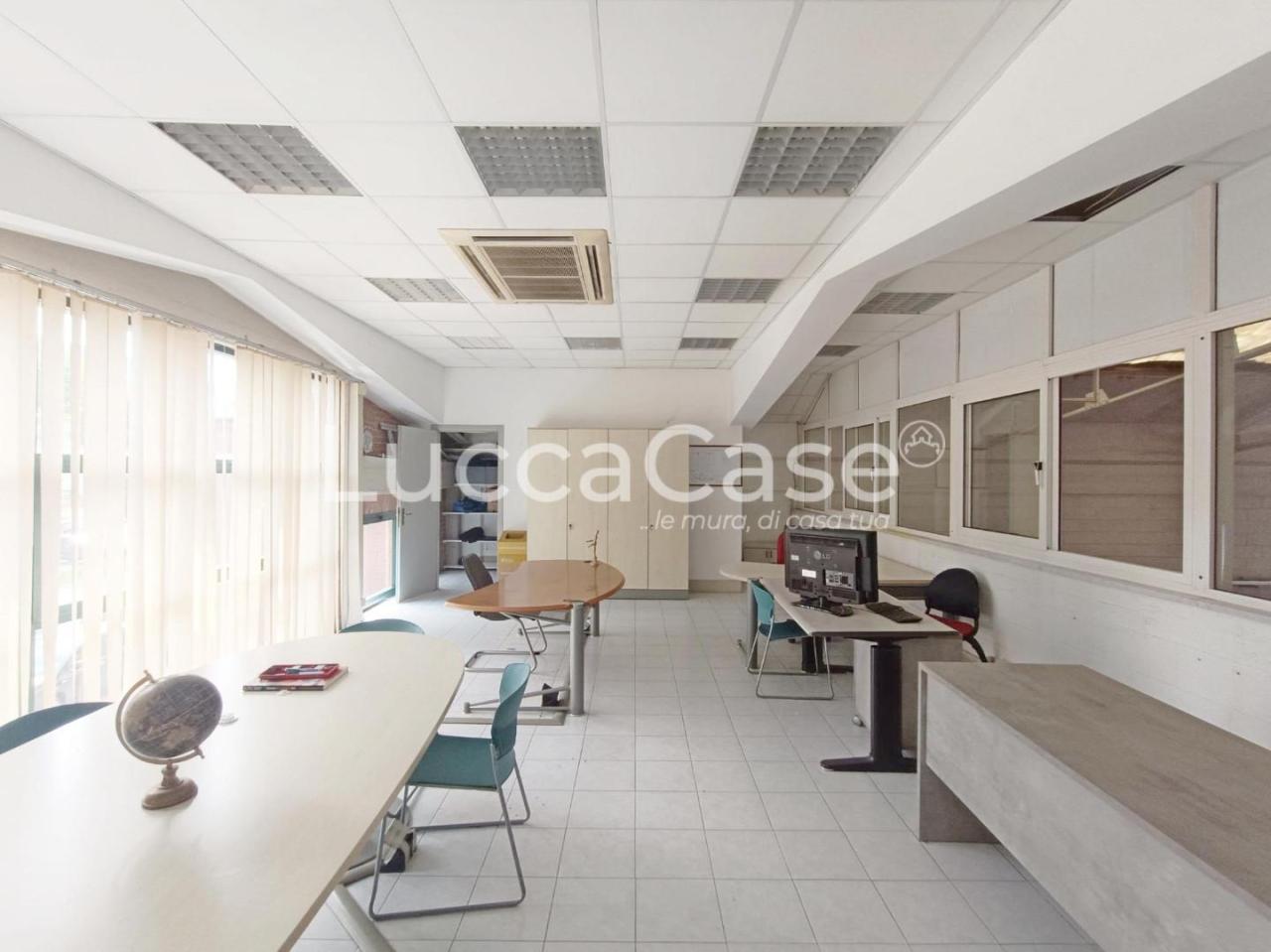 Vendita Capannone, Massarosa foto