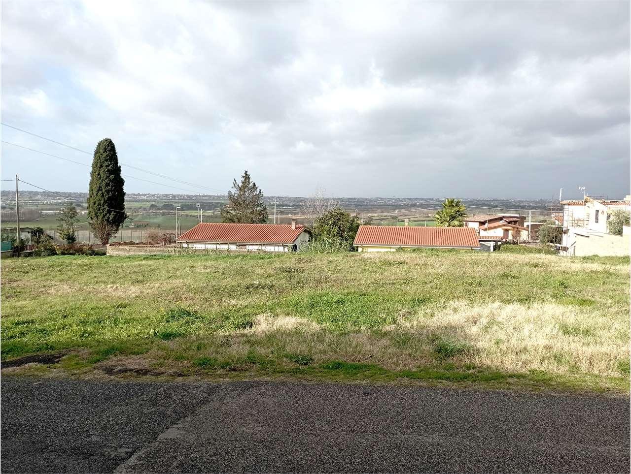 Vendita vendita, Zagarolo Vendita vendita, Zagarolo foto