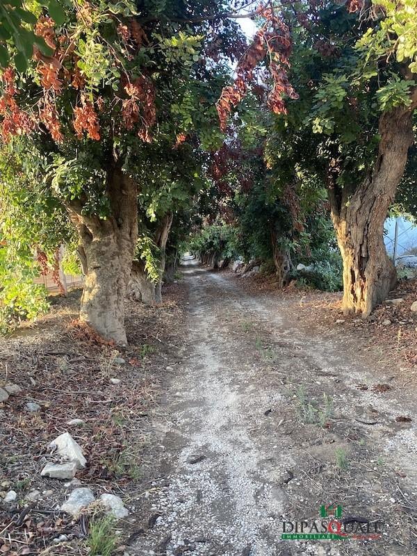 Vendita Loft, mansarde e attici, Ragusa Vendita Loft, mansarde e attici, Ragusa foto