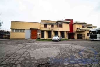 Vendita Multivani, Rimini