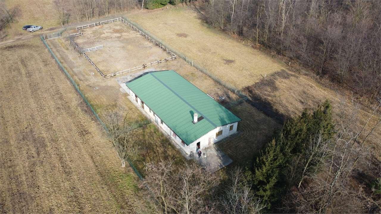 Vendita vendita, Rescaldina Vendita vendita, Rescaldina foto