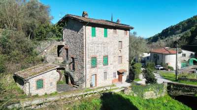 Vendita Pentavani, Capannori