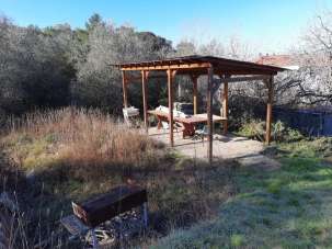 Vendita Terreno Agricolo, Livorno