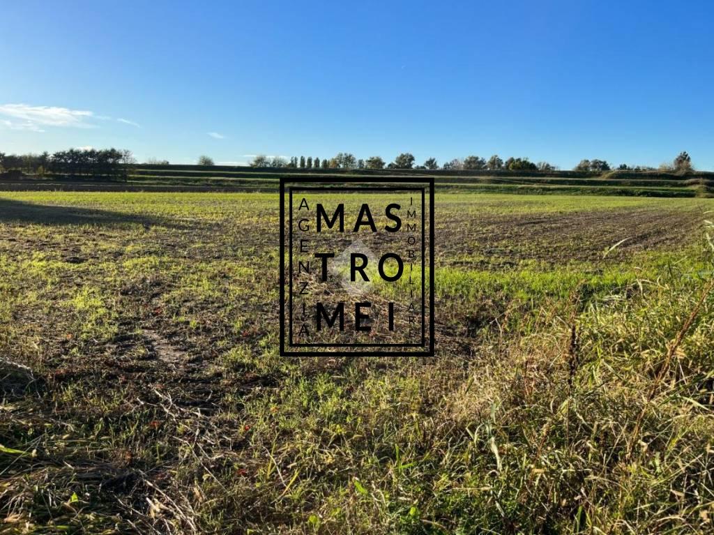 Vendita Terreno, Altopascio Vendita Terreno, Altopascio foto