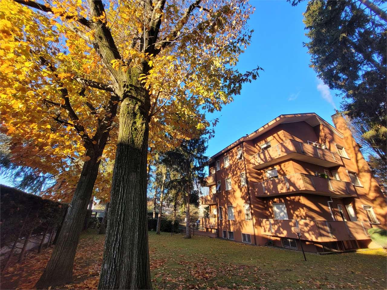 Vendita vendita, Legnano foto