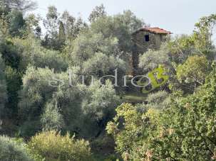 Vendita vendita, Bordighera