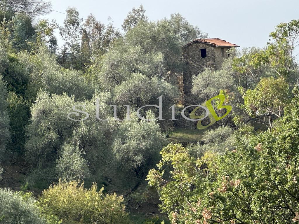 Vendita vendita, Bordighera foto