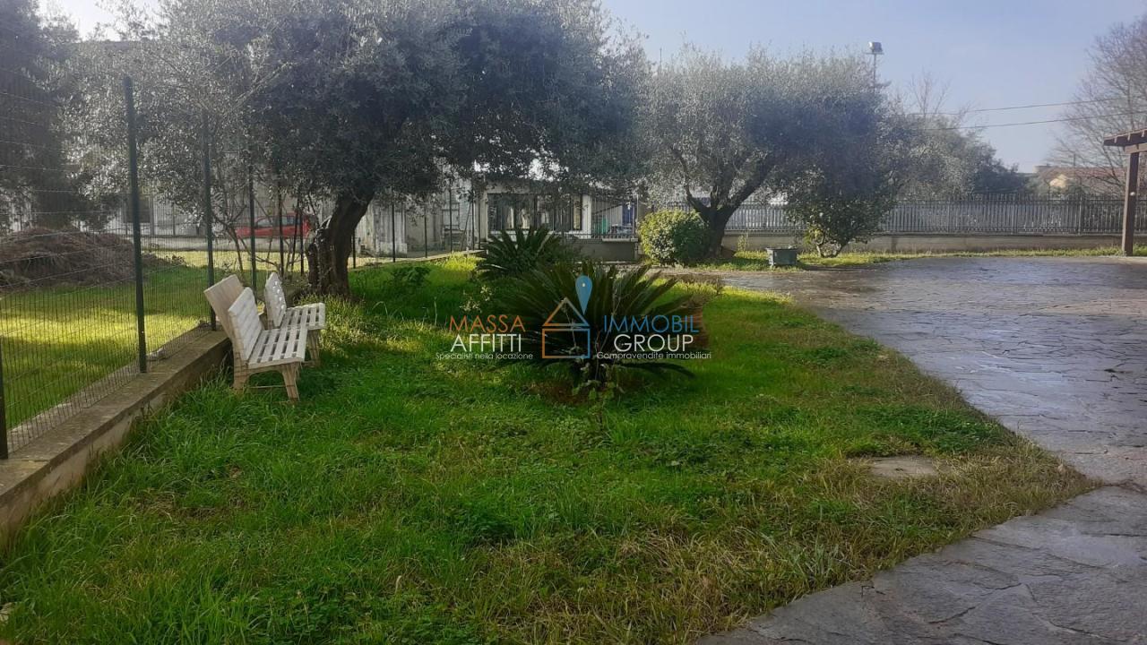 Vendita Multivani, Massa Vendita Multivani, Massa foto