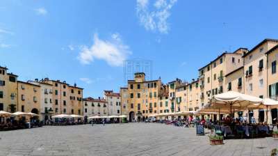 Vendita Bivani, Lucca Vendita Bivani, Lucca